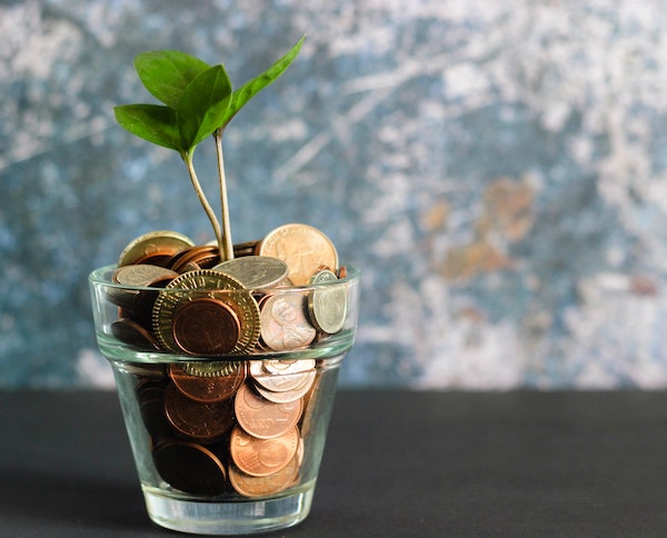 A seedling growing in a jar of coins.